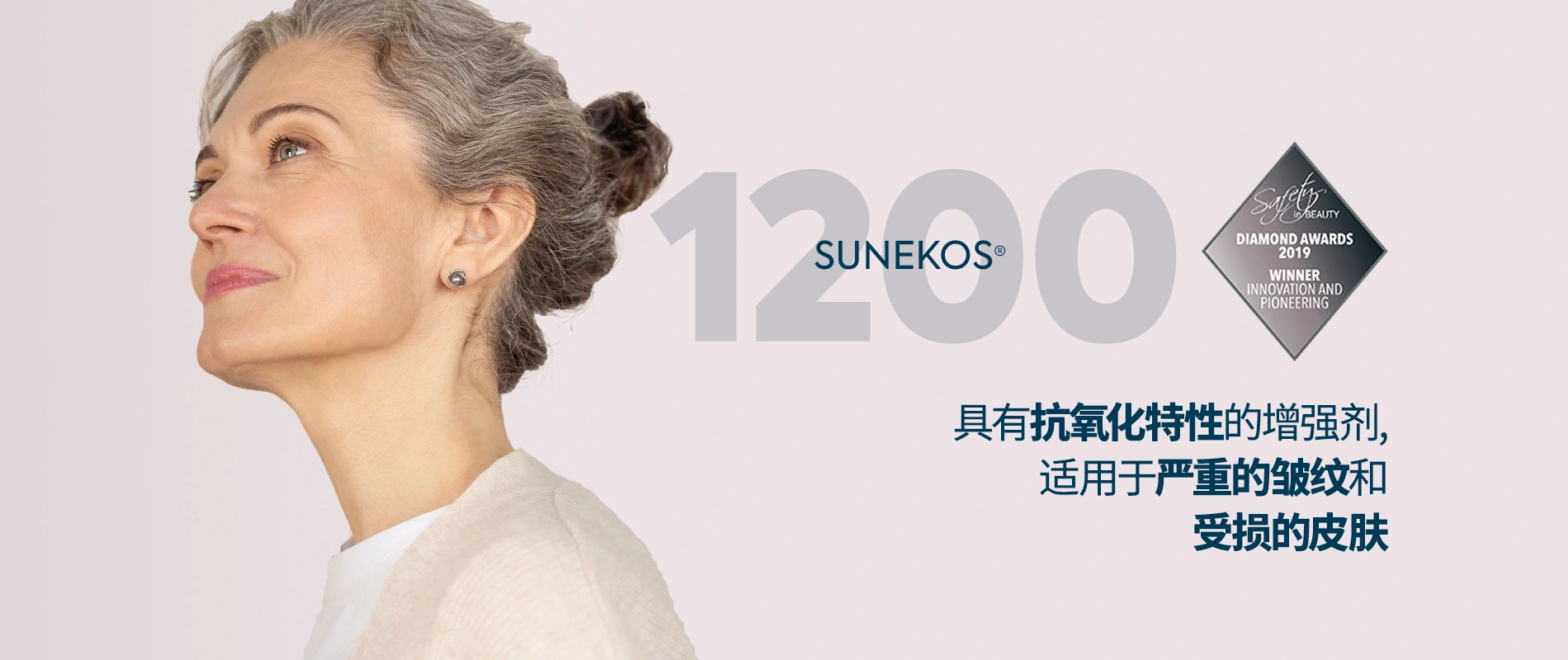 CN KTMY_SunekosWebsiteBanner_1200_1950Size